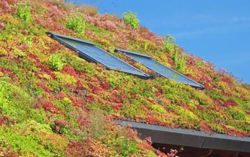 Muckleton living roof systems